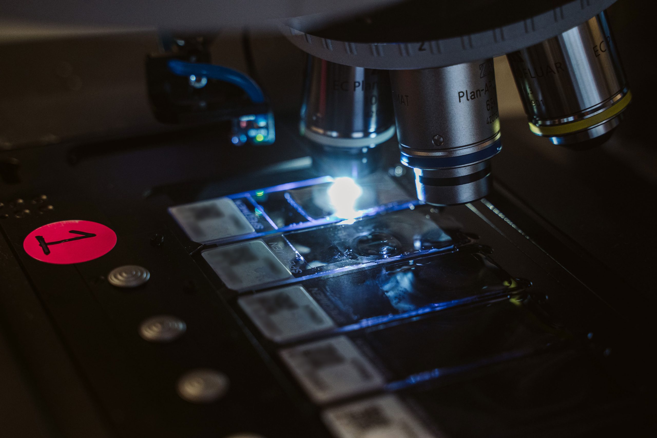 A microscope inspecting a slide with a stem cell specimen.