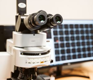 A microscope at the WiCell laboratory.