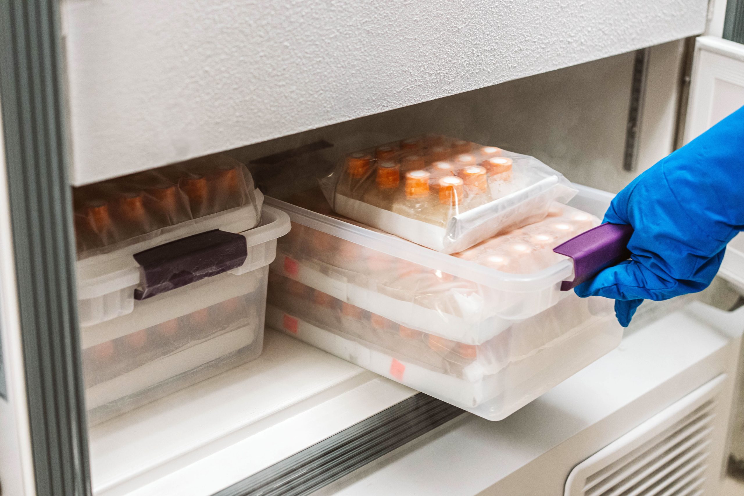 A bin full of stem cell samples at WiCell.