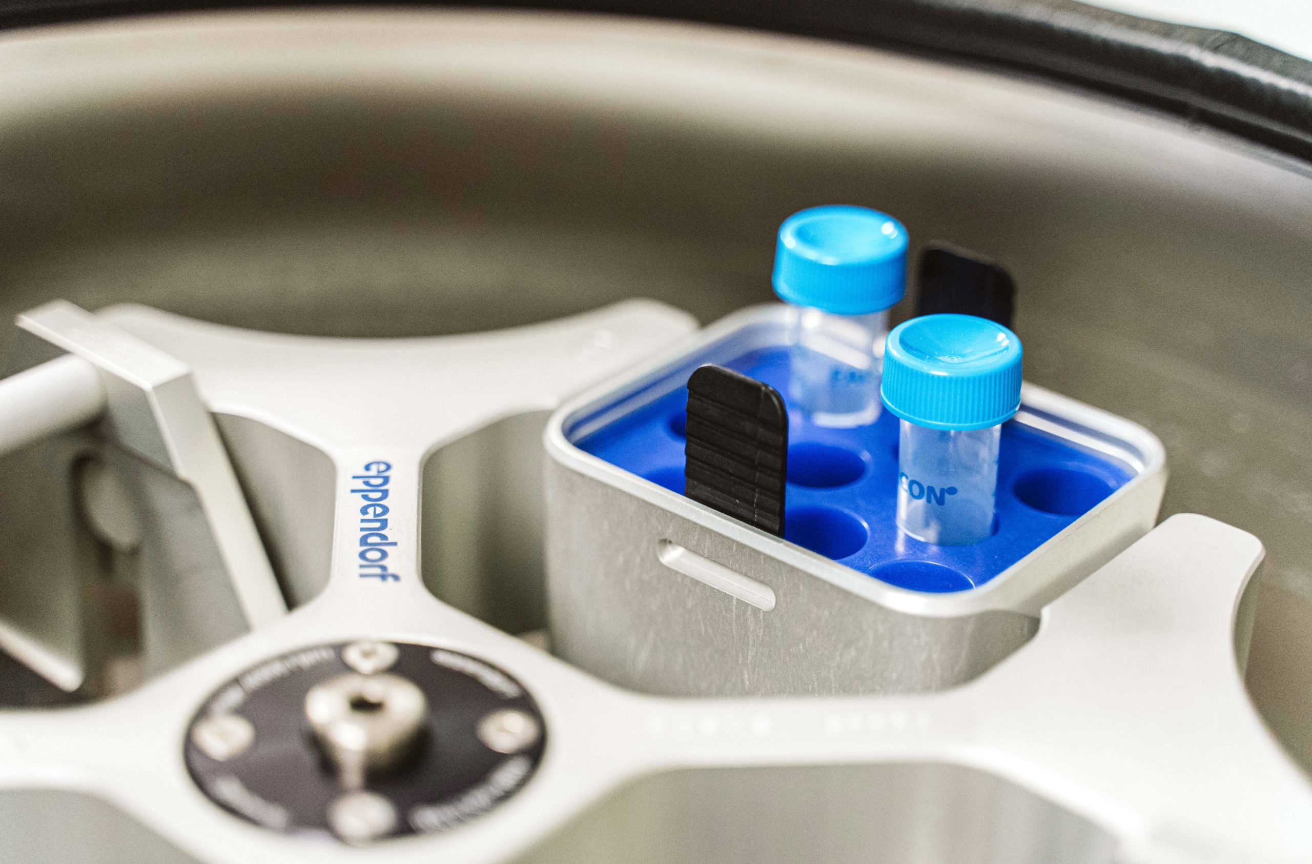 A pair of blue-capped vials in a centrifuge.