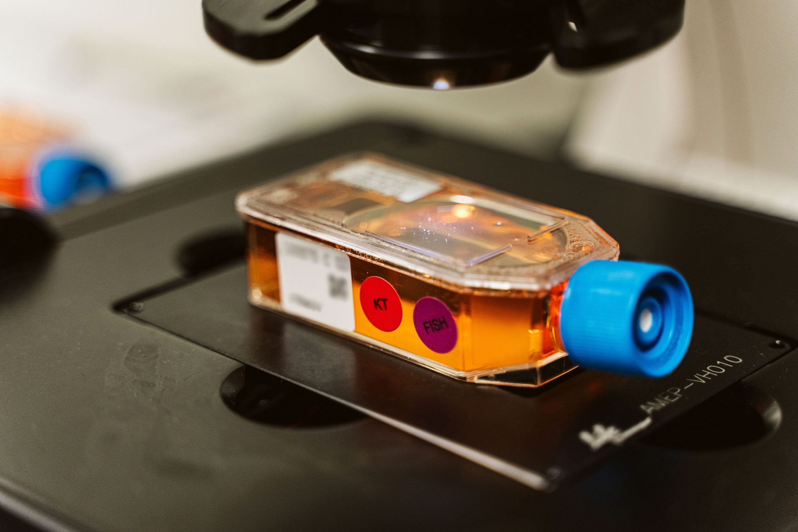 A biological sample for characterization testing at WiCell.