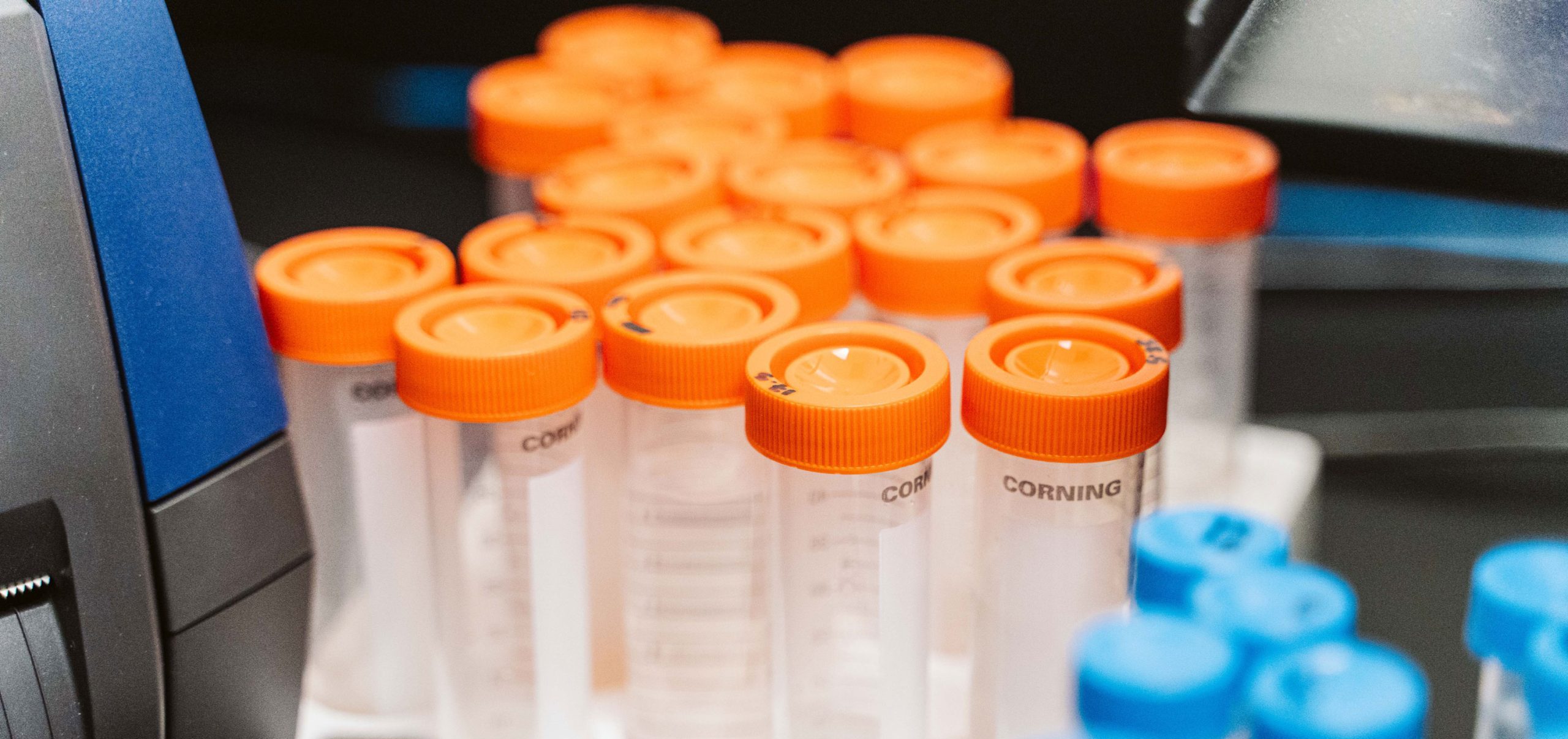 A rack of vials for WiCell characterization testing.