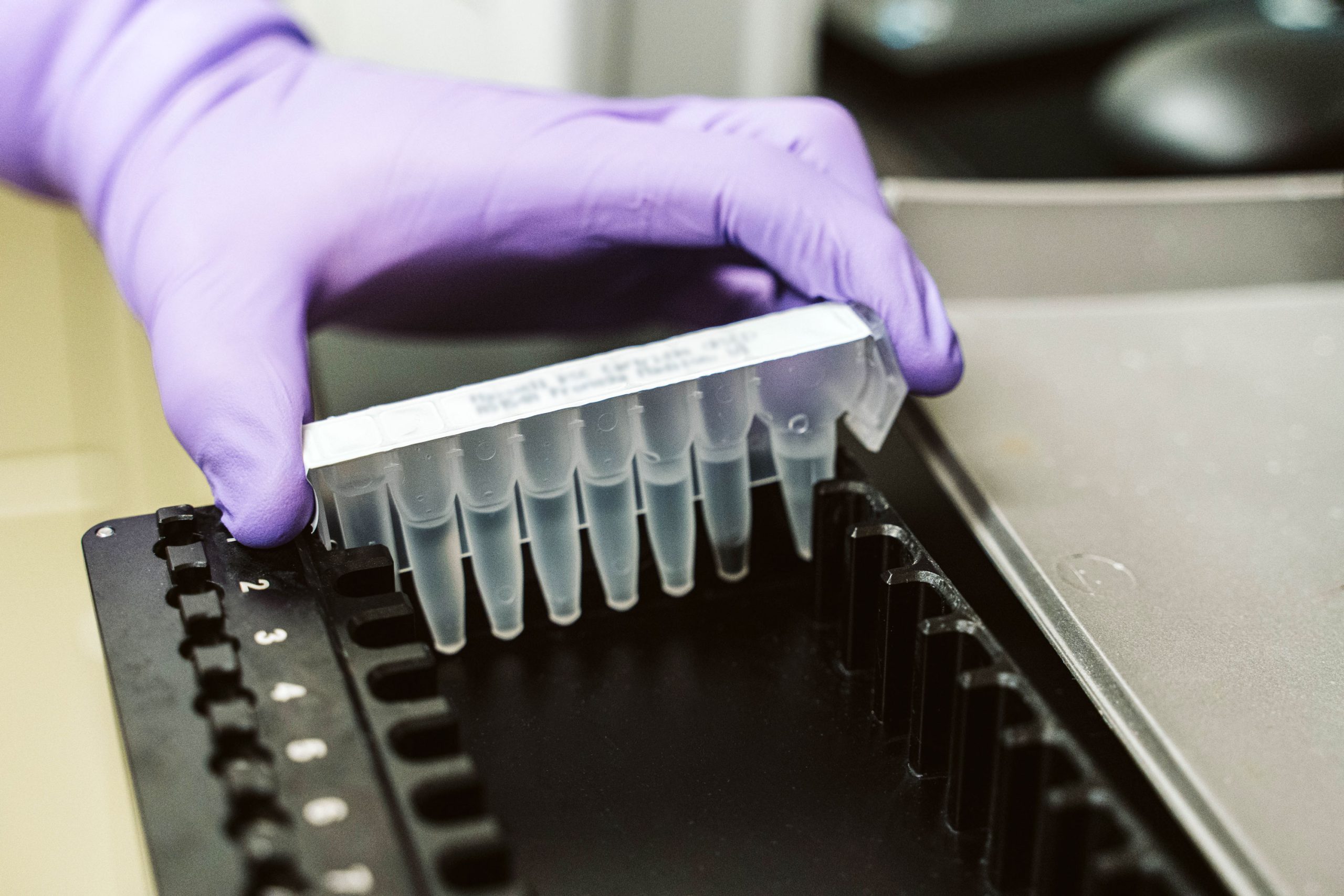 A line of samples for testing at WiCell.