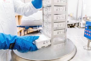 A scientist removing a box of human stem cell samples from cold storage.