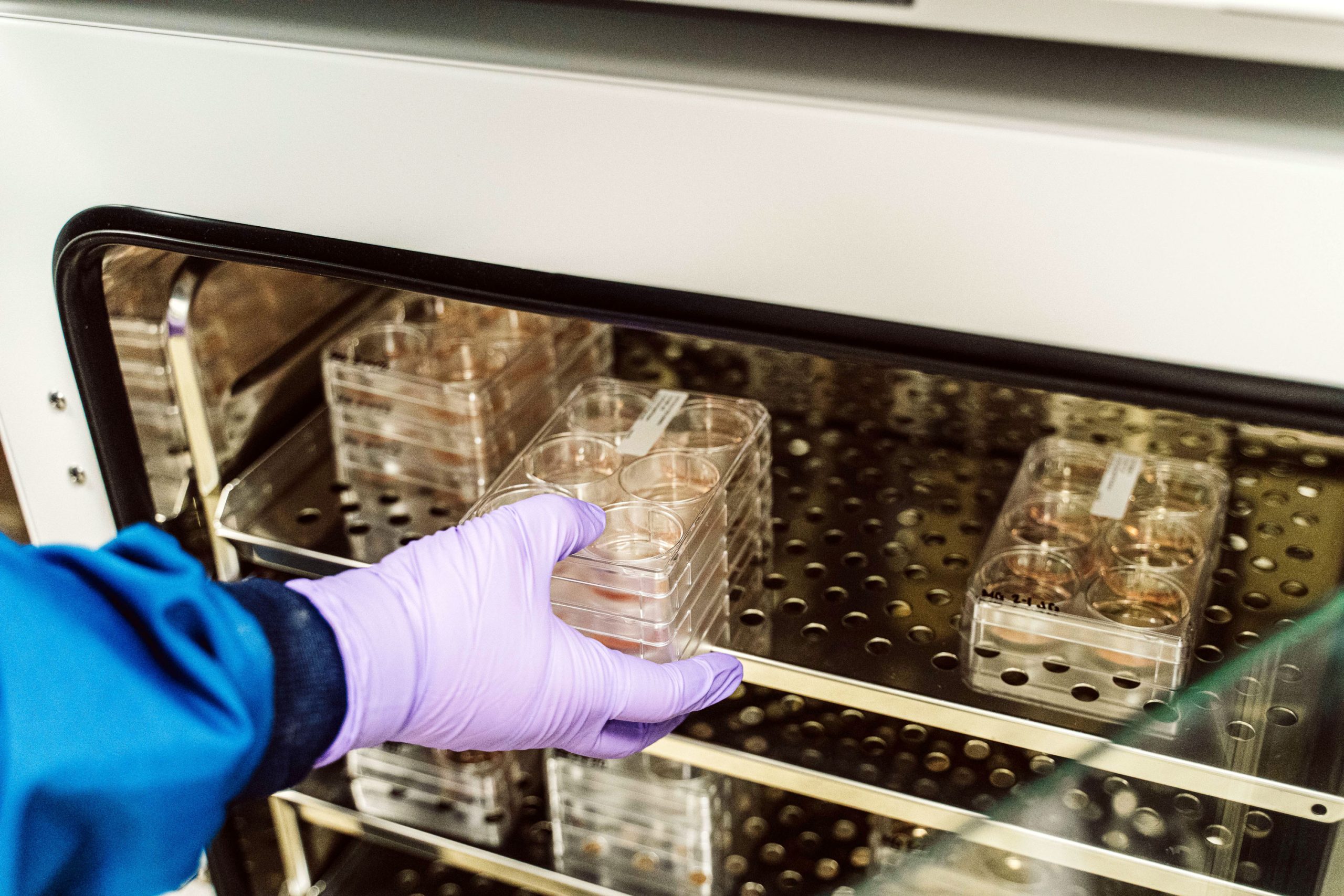A gloved hand retrieves a rack of biochemical samples.