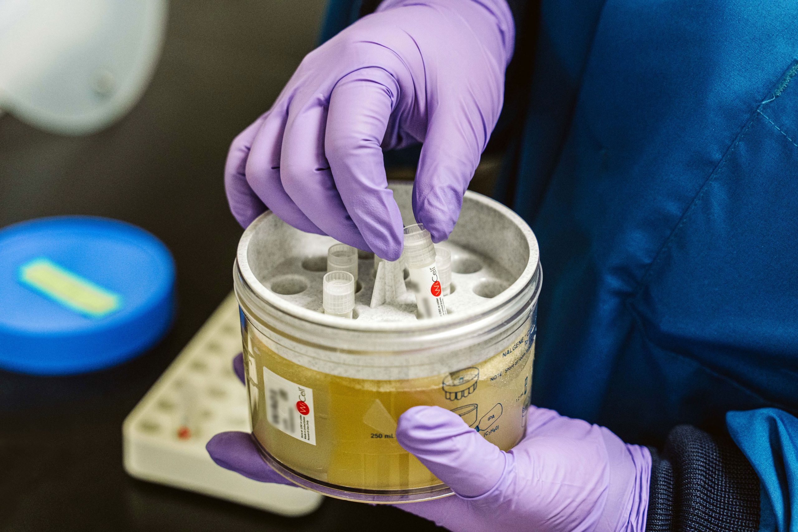 A pair of gloved hands place small vials in a circular container.