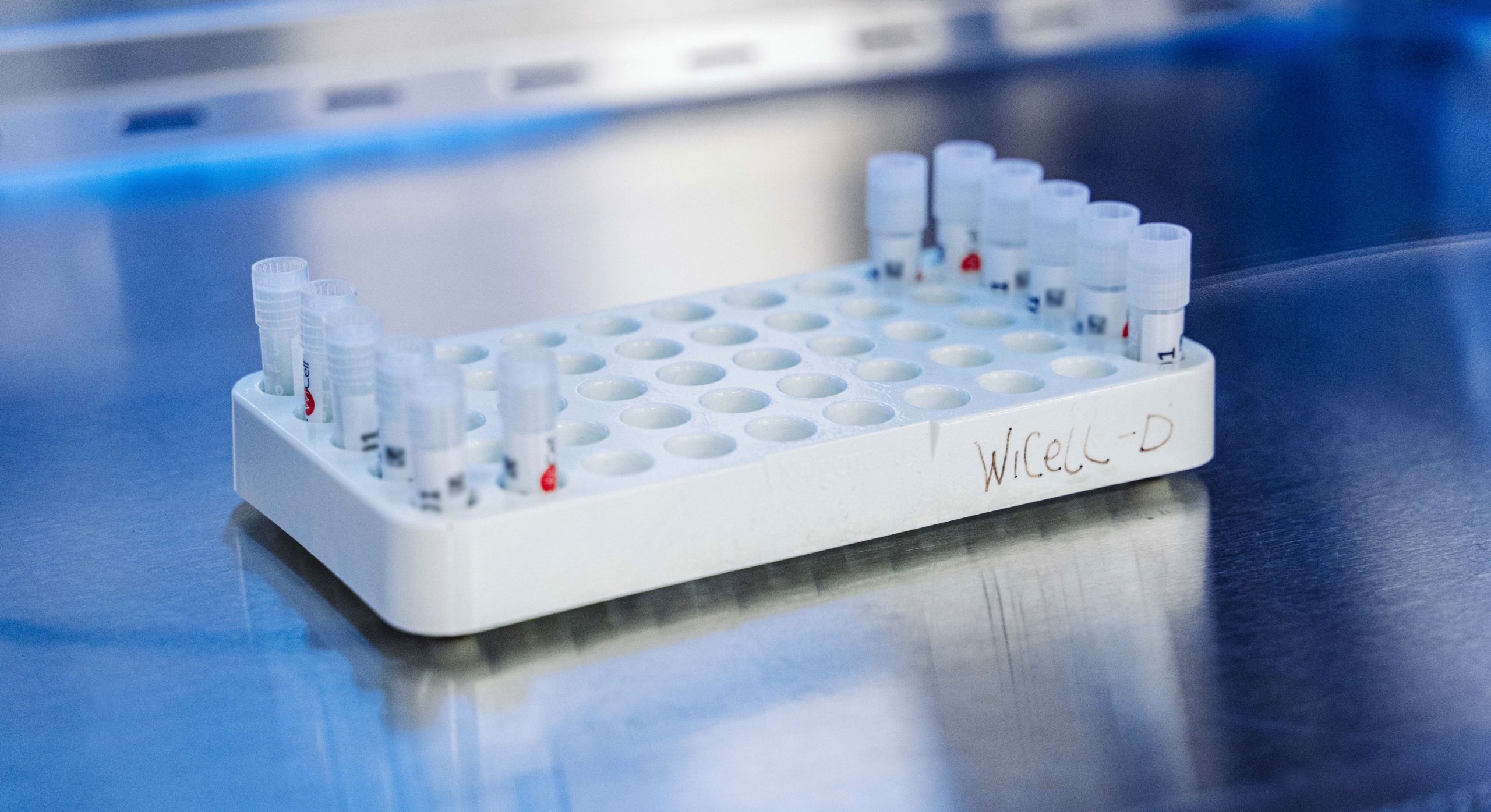 A rack of small vials - six vials on one side and six on the other. The rack is labeled 