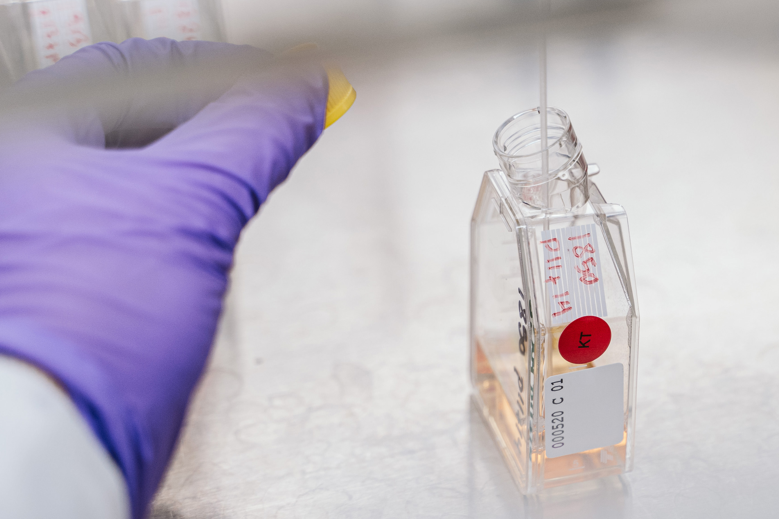 A WiCell scientists conducts characterization testing on human embryonic stem cells.