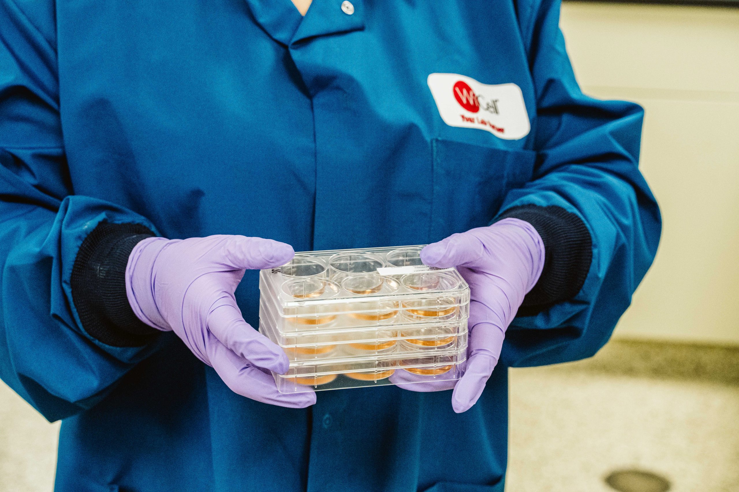 A WiCell scientist carries a stack of trays with stem cells