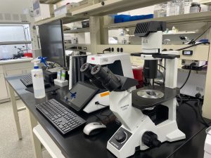 A table full of lab equipment at WiCell's new cGMP Testing Laboratory.