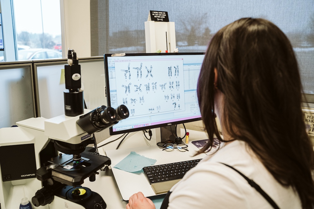 WiCell Cytogenetics Specialist Alyssa Freund examines a karyotype image.