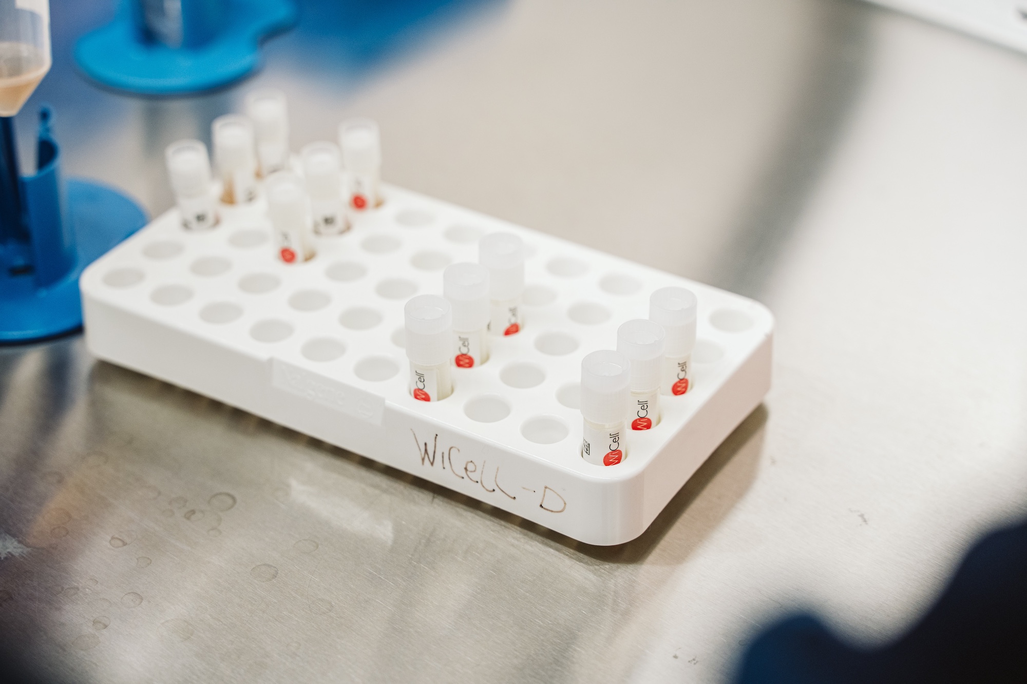 A small scientific tray holding WiCell vials