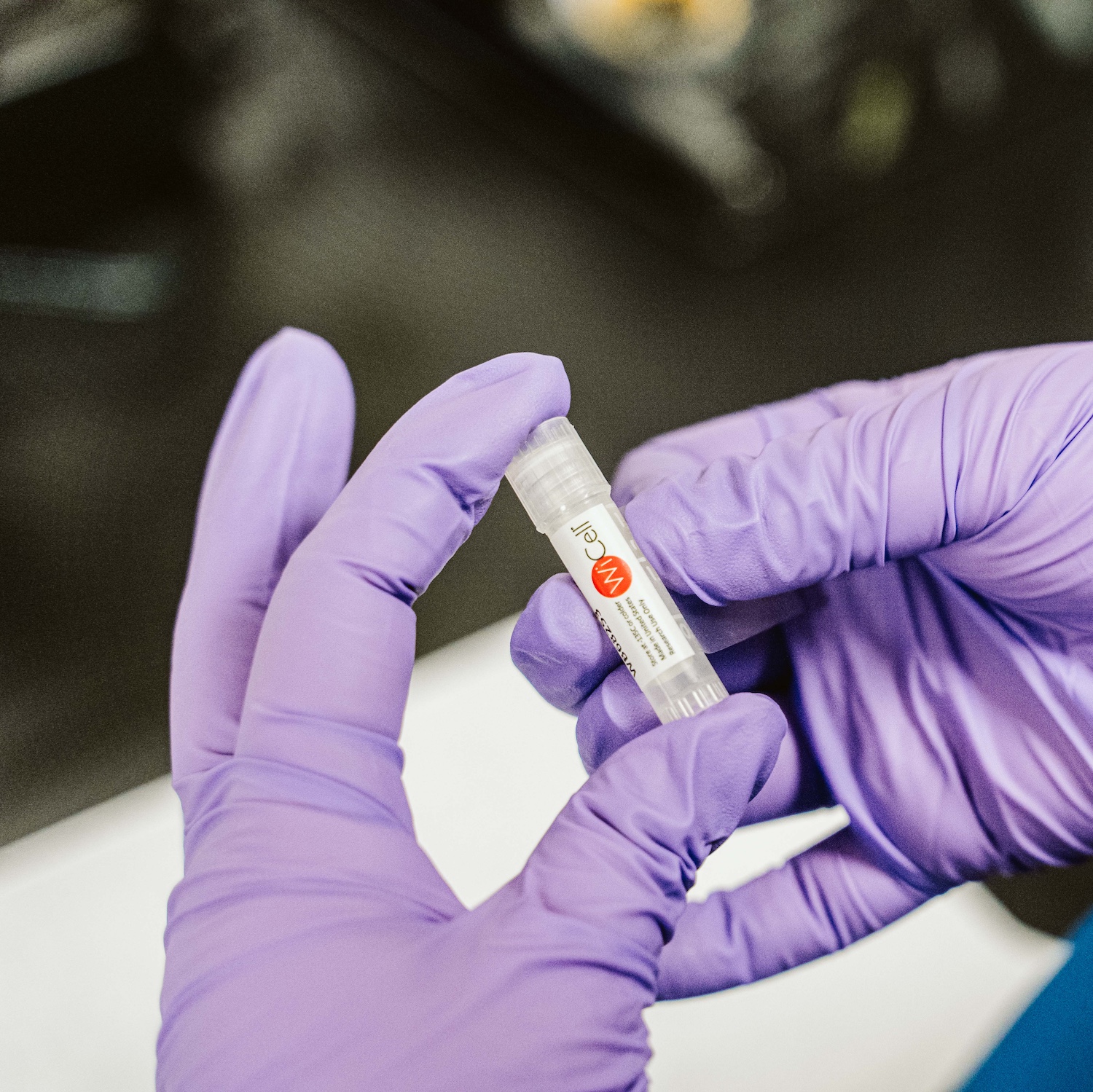 Hands wearing purple gloves hold a small vial with the WiCell logo.