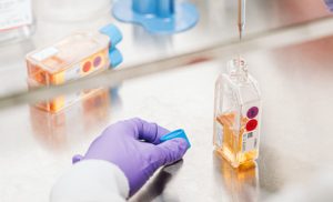 Close up of a WiCell scientist adding liquid into a glass vial with a syringe