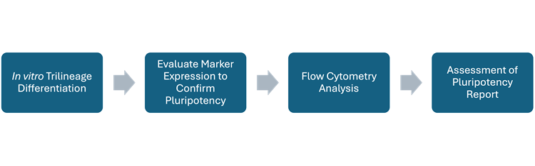 in vitro Trilineage Differentiation >> Evaluate Marker Expression to Confirm Pluripotency >> Flow Cytometry Analysis >> Assessment of Plurpotency Report 