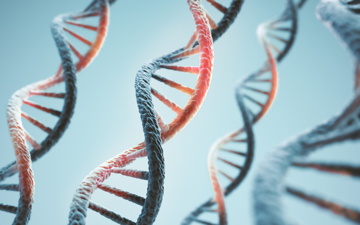 Strands of DNA