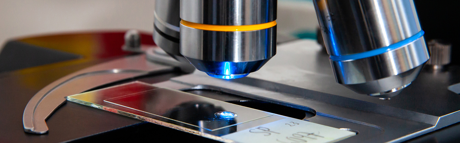 cGMP FISH and Karyotype