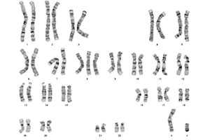 Characterization Testing Guidelines