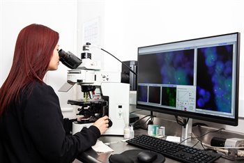 Fluorescence in Situ Hybridization (FISH)