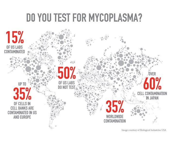Do you test for mycoplasma